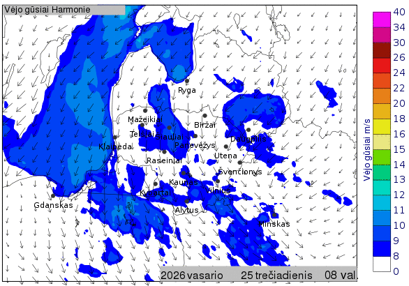 Skaitmeninė orų prognozė