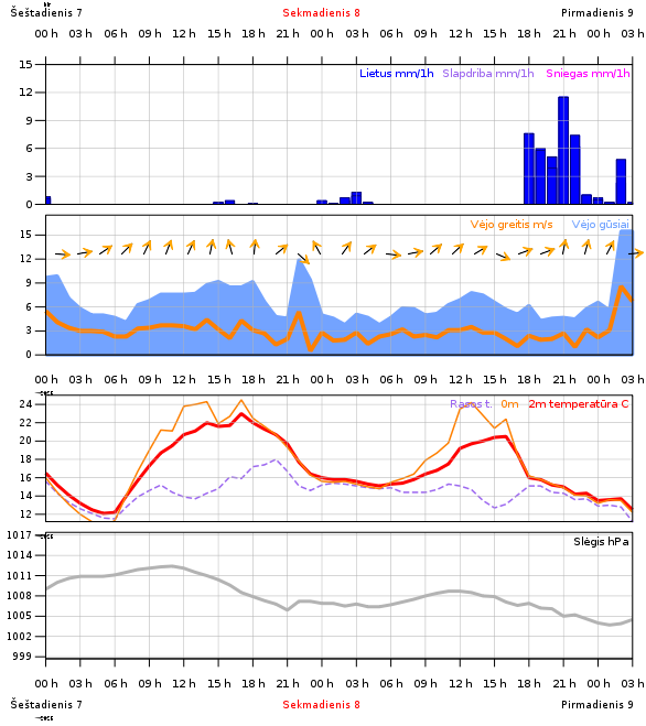 Skaitmeninė orų prognozė
